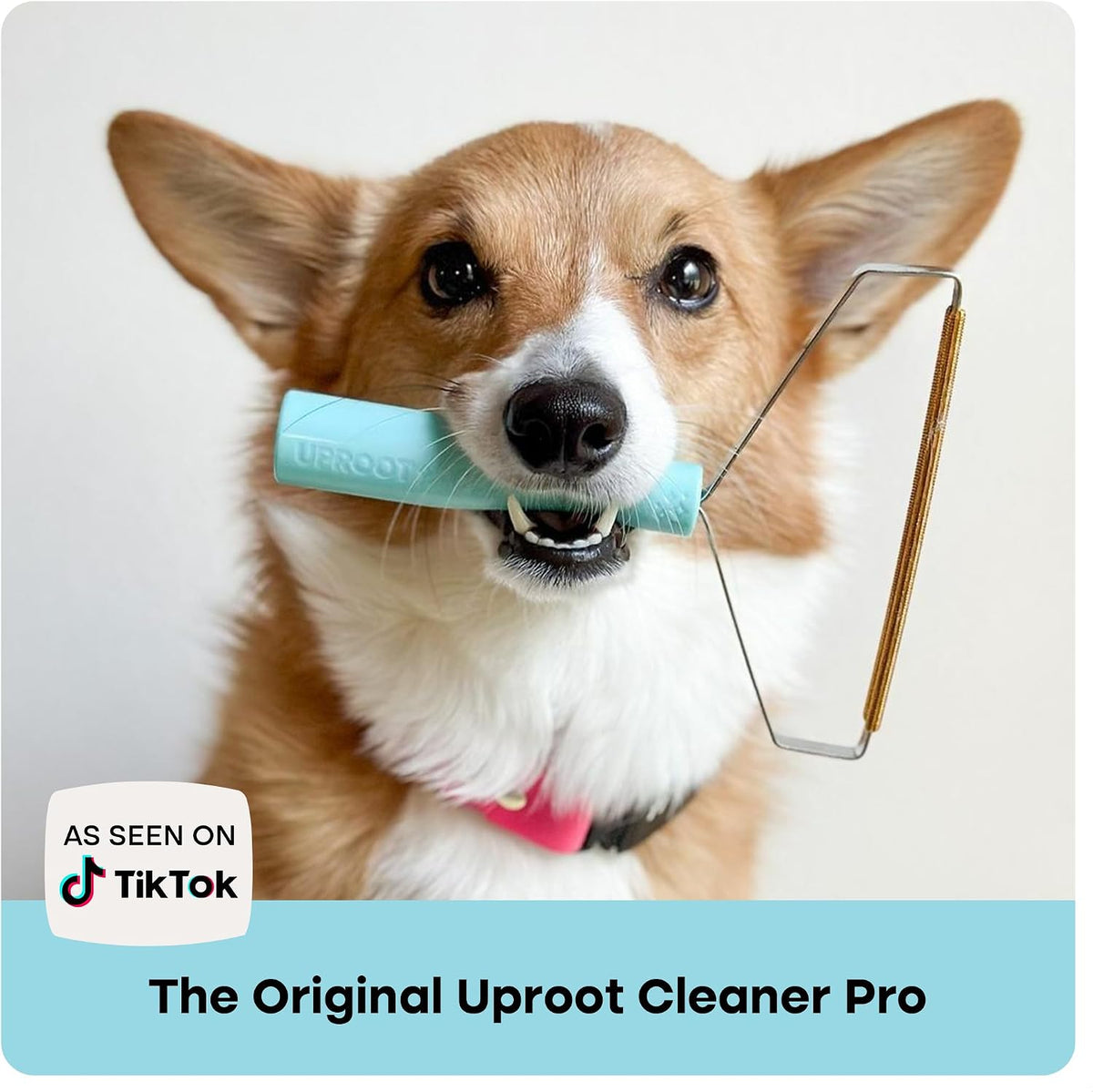 Pro Pet Hair Removal Tool - Multi-Fabric Edge, Carpet Rake