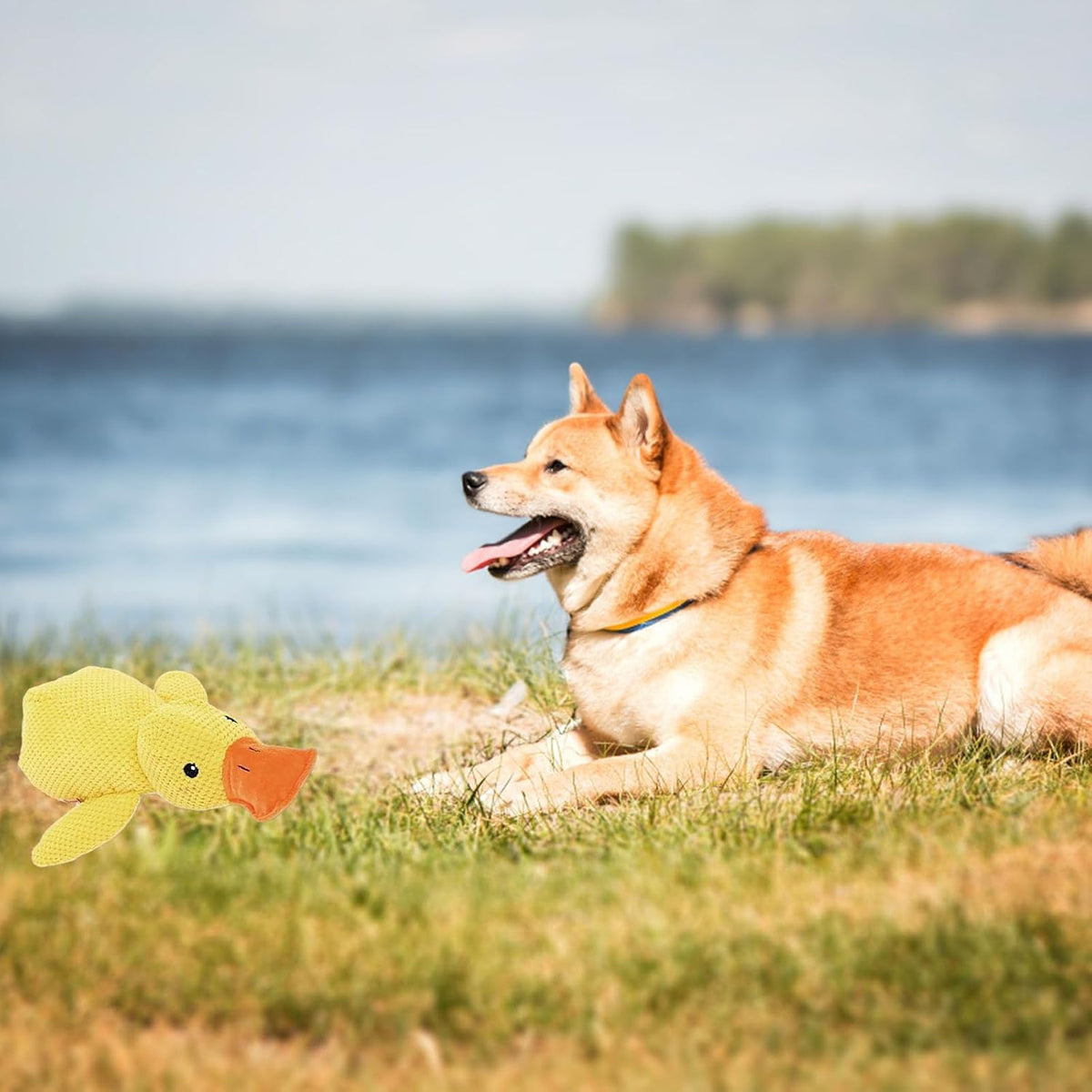 Mellow Duck Calming Dog Toy - Quacking Heartbeat Plush for Anxious Pups