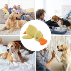 Mellow Duck Calming Dog Toy - Quacking Heartbeat Plush for Anxious Pups