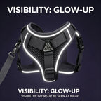 Escape-Proof Cat Harness and Leash Set; Adjustable Size. Cat Leash and Collar Made from Comfortable, Breathable Materials with Adjustable Sizing. Reflective Strip, Soft Mesh Vest, Convenient for Safe Leash Walking. Includes a Summer Version; Breathable An