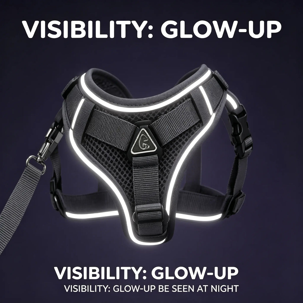 Escape-Proof Cat Harness and Leash Set; Adjustable Size. Cat Leash and Collar Made from Comfortable, Breathable Materials with Adjustable Sizing. Reflective Strip, Soft Mesh Vest, Convenient for Safe Leash Walking. Includes a Summer Version; Breathable An